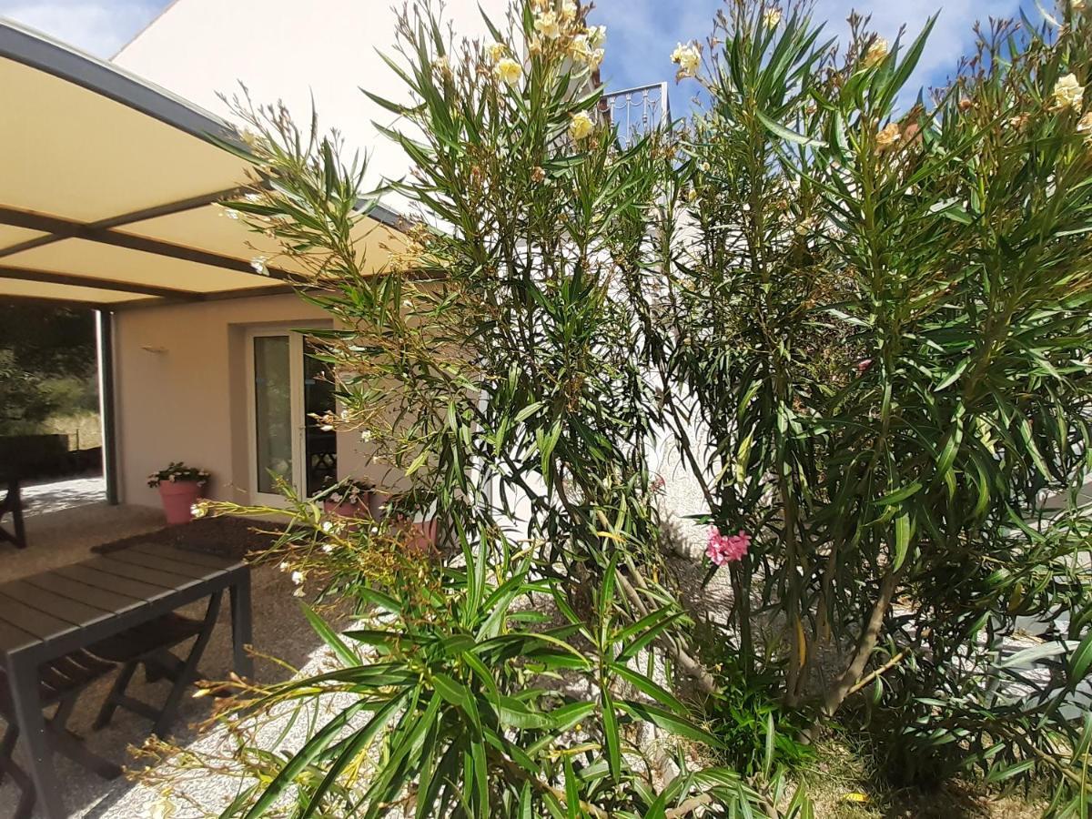 Sole&Sale Bed & Breakfast ซาน เตโอโดโร ภายนอก รูปภาพ